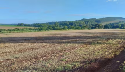 Área de terra encostada na cidade tendo 12.98 alqueires