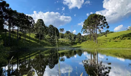 Fazenda à venda na Campo Alto, Campo Alto, Tijucas do Sul, 3000 m2 por R$ 19.999.900