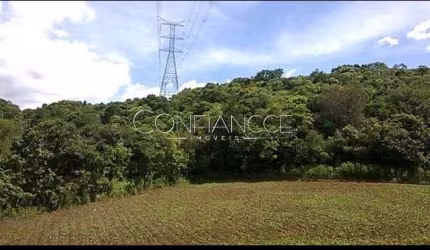 Terreno comercial à venda na Rua João Jacob Manfron Neto, 100, Centro, Campo Magro, 60599 m2 por R$ 230.000