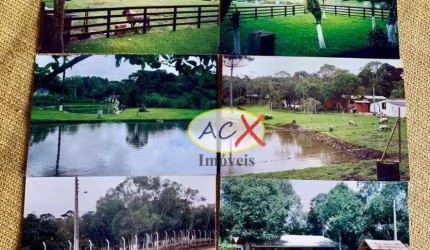 Chácara com 4 dormitórios à venda, 5300 m² por R$ 1.150.000,00 - Dom Rodrigo - São José dos Pinhais/PR