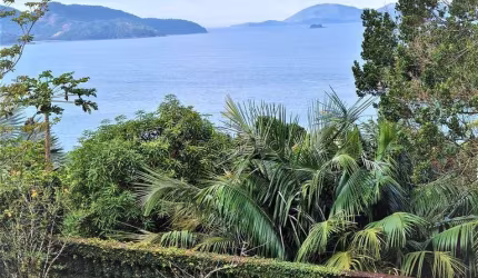 Casa com 4 quartos, Praia do Pulso, Ubatuba - R$ 3.75 mi, Cod: 2199