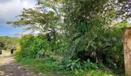 Terreno para Venda em Itanhaém, Jardim Tropical