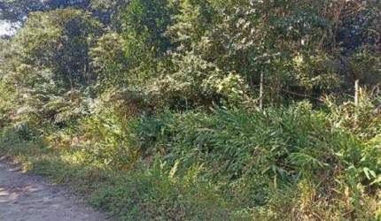 Terreno para Venda em Itanhaém, São Fernando