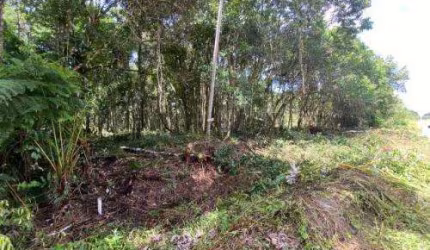 Terreno para Venda em Itanhaém, São Fernando