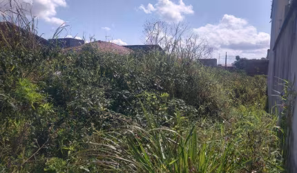Terreno para Venda em Itanhaém, Jamaica