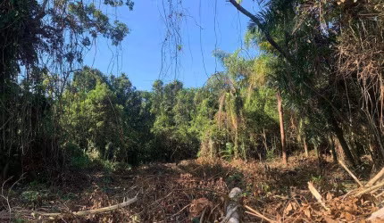Terreno para Venda em Itanhaém, Balneário Gaivotas