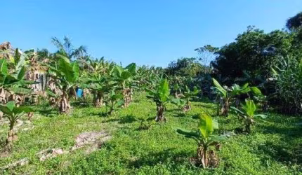 Terreno para Venda em Itariri, Ana Dias