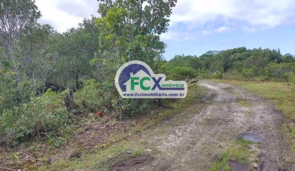 Terreno para Venda em Itanhaém, Tupy