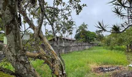 Terreno para Venda em Itanhaém, Chácaras Glória