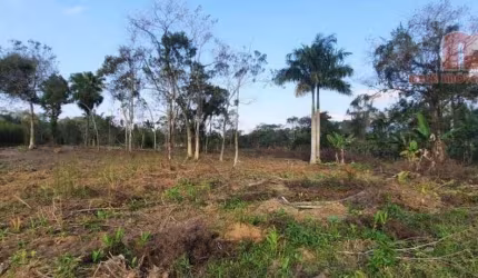 Terreno para Venda em Itariri, Ana Dias