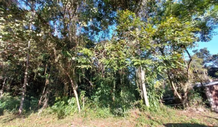 Terreno para Venda em Itanhaém, Jardim Coronel