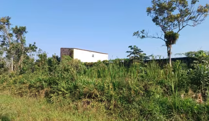 Terreno para Venda em Itanhaém, Oásis