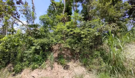 Terreno para Venda em Itanhaém, Umuarama