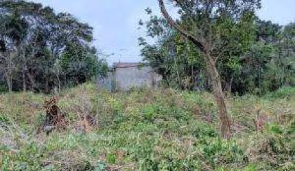 Terreno para Venda em Itanhaém, Luiza Mar Mirim