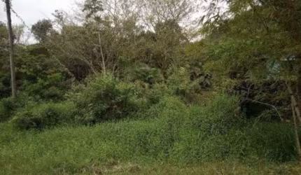 Terreno para Venda em Itanhaém, Jardim Aguapeu