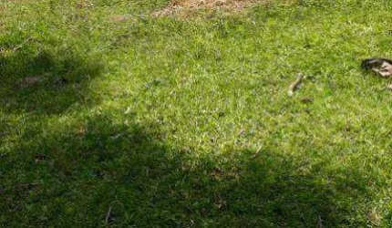 Chácara à venda, 4630 m² por R$ 179.000,00 - Zona Rural - Quitandinha/PR