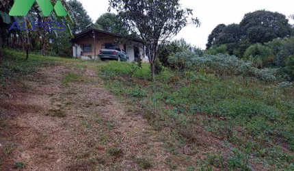 Chácara com 2 dormitórios para alugar, 48000 m² por R$ 2.500/mês - Rio do Cacho - Contenda/PR