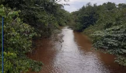Fazenda com 4.000 hectares à venda Chapada Gaúcha - MG