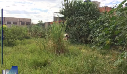 Terreno comercial/residencial à venda Rua Barretos Ribeirão Preto