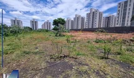 Terreno com 1.755m² em Veriador Antonio Joaquim da Silva - Iguatemi