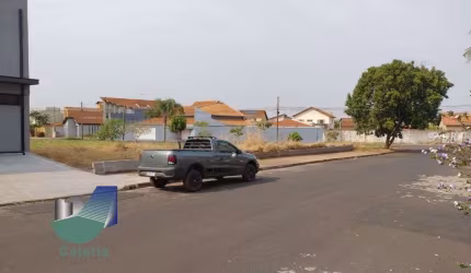 Terreno Comercial à venda, 250m² - Nova Ribeirânia