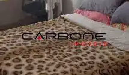 Casa com 3 quartos à venda na Rua dos Campineiros, Mooca, São Paulo por R$ 1.500.000
