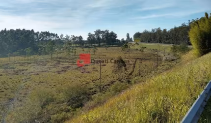Terreno à venda na Br386, Pesqueiro, Montenegro por R$ 10.300.000