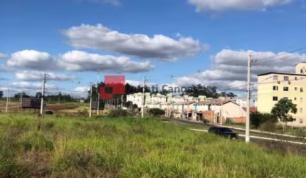 Terreno comercial para alugar na Avenida Hispânica, Guajuviras, Canoas por R$ 7.000