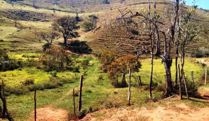 Chácara para Venda em Taubaté, Pedra Grande