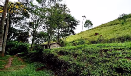 Sítio para Venda em São Luiz do Paraitinga, Bairro dos Perobas, 3 dormitórios, 3 banheiros, 10 vagas