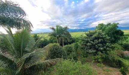 Chácara para Venda em Taubaté, Quiririm, 1 dormitório, 1 banheiro, 2 vagas