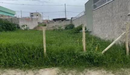 Terreno para Venda em Taubaté, Areao
