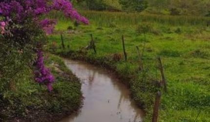 Terreno para Venda em Lagoinha, Centro