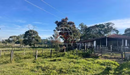 Chácara para Venda em Pindamonhangaba, Alto do Piracuama