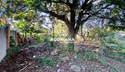 Terreno à venda - Rio Tavares - Florianópolis/SC