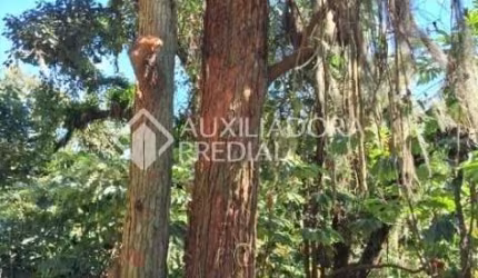 Terreno comercial à venda na Estrada Martim Afonso de Souza, 1, Balneária, São Bernardo do Campo por R$ 1.800.000