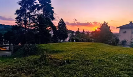 Terreno Delfim Verde