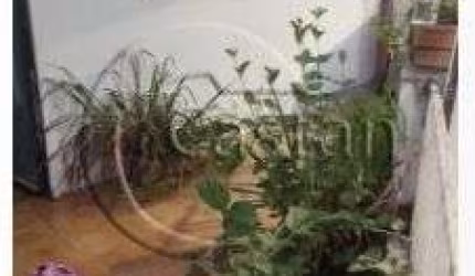 Casa com 5 quartos à venda na Rua Ouricuri, --, Vila Formosa, São Paulo, 127 m2 por R$ 370.000