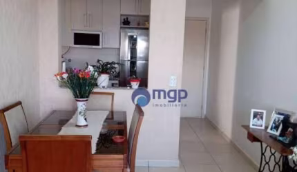 Apartamento com 2 dormitórios à venda, 63 m² por R$ 510.000,00 - Vila Maria - São Paulo/SP