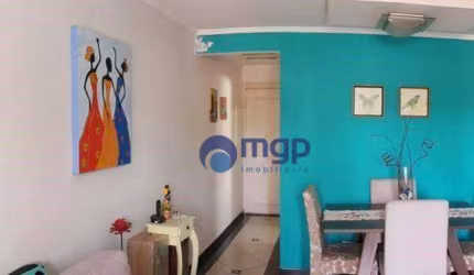 Apartamento com 3 dormitórios à venda, 72 m² - Vila Gustavo - São Paulo/SP