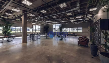 Conjuntos Comerciais para Locação em Campinas - ao Lado do Aeroporto - 433 m² - Campinas/SP