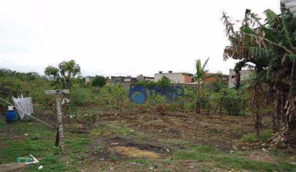 Terreno à Venda ao Lado do Aeroporto de Guarulhos - 6.000 m² - Guarulhos/SP