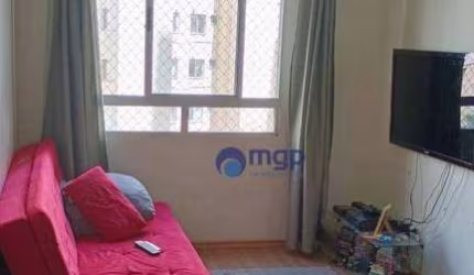 Apartamento com 2 quarto, à venda no bairro Ponte Grande - 45 m² - Guarulhos/SP