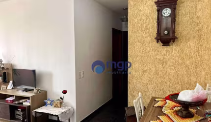 Apartamento com 2 quartos, à venda no bairro Santa Teresinha - 50 m² - São Paulo/SP