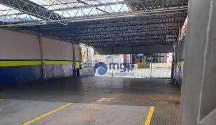 Galpão com Renda à Venda no Tucuruvi - 300 m² - São Paulo/SP