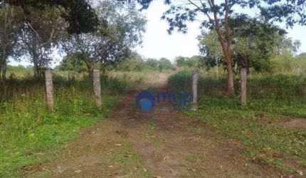 Fazenda à venda em São Felix do Araguaia - 250 Hectares - São Felix do Araguaia/MT