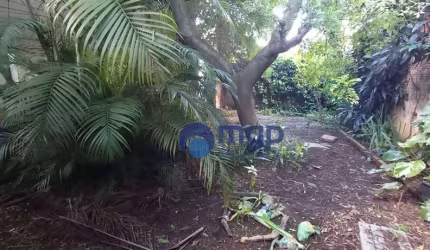 Terreno à venda na Vila Ede - 192 m² - São Paulo/SP