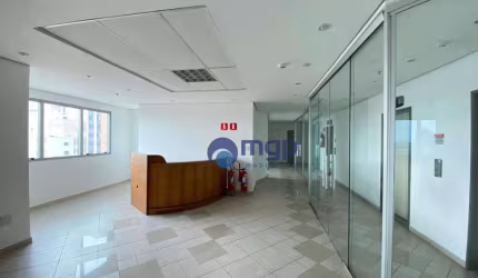 Conjunto Escritório para Alugar em Santana - 280 m² - São Paulo/SP