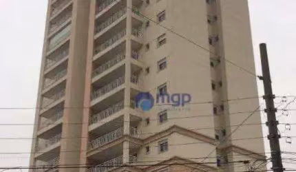 Apartamento Cobertura com 4 quartos, à venda na Vila Maria - 207 m² - São Paulo/SP