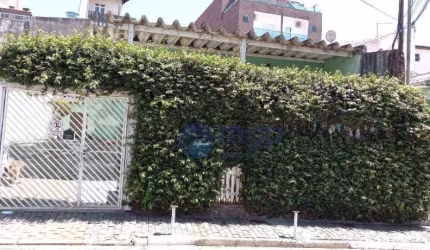 Terreno à venda, 333 m² por R$ 800.000,00 - Vila Constança - São Paulo/SP